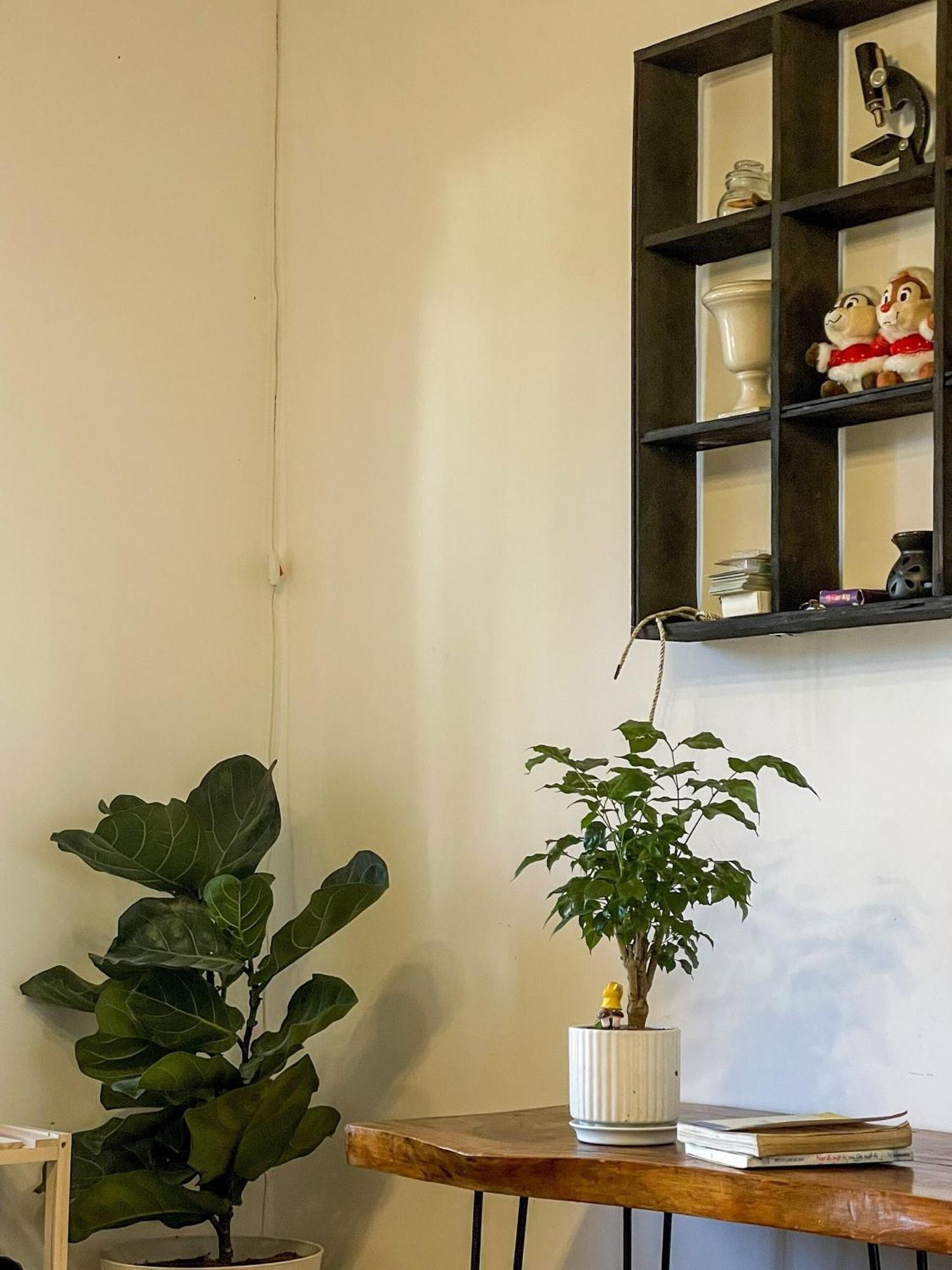 Hat De Homestay 大叻 外观 照片