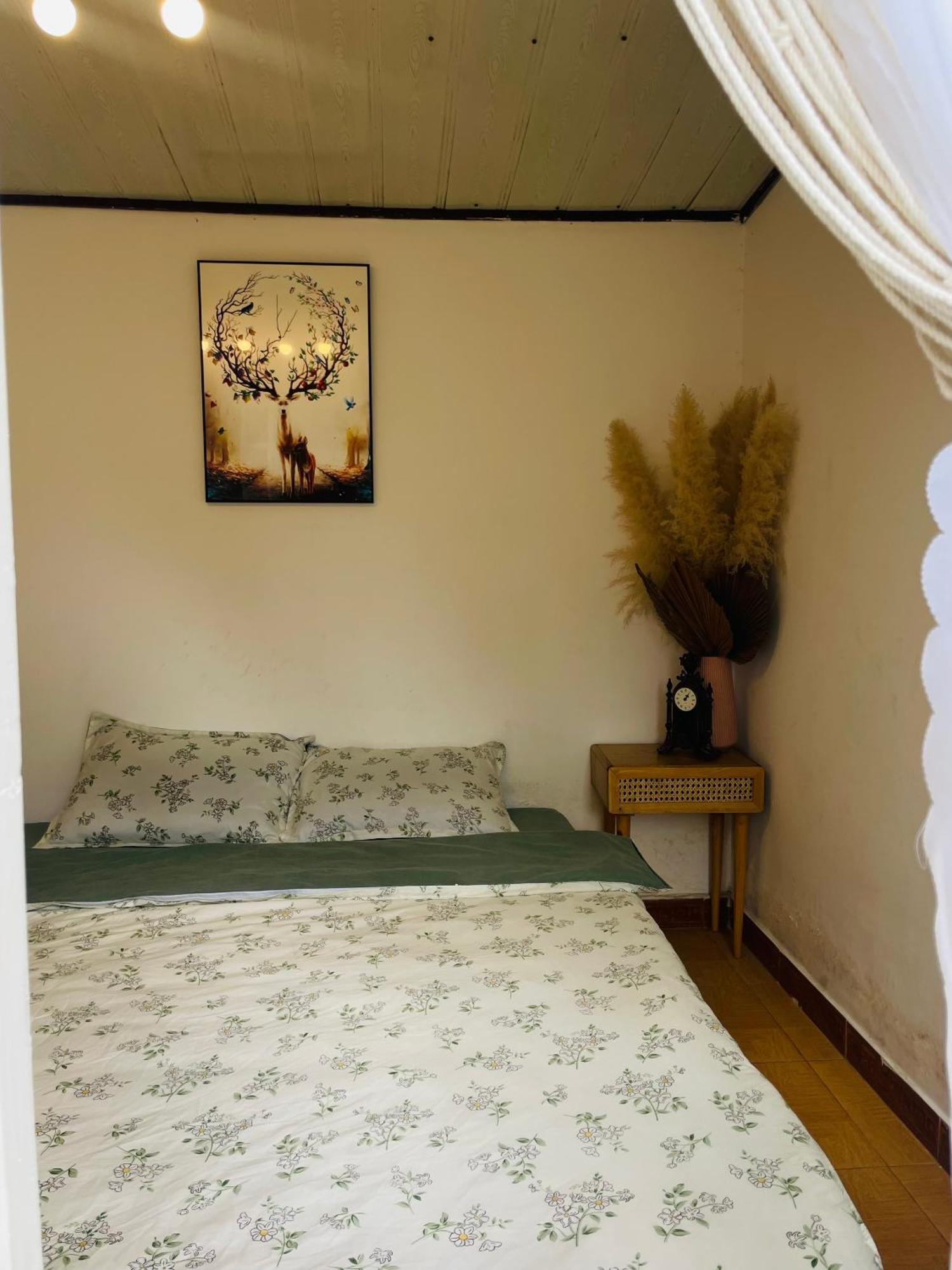 Hat De Homestay 大叻 外观 照片