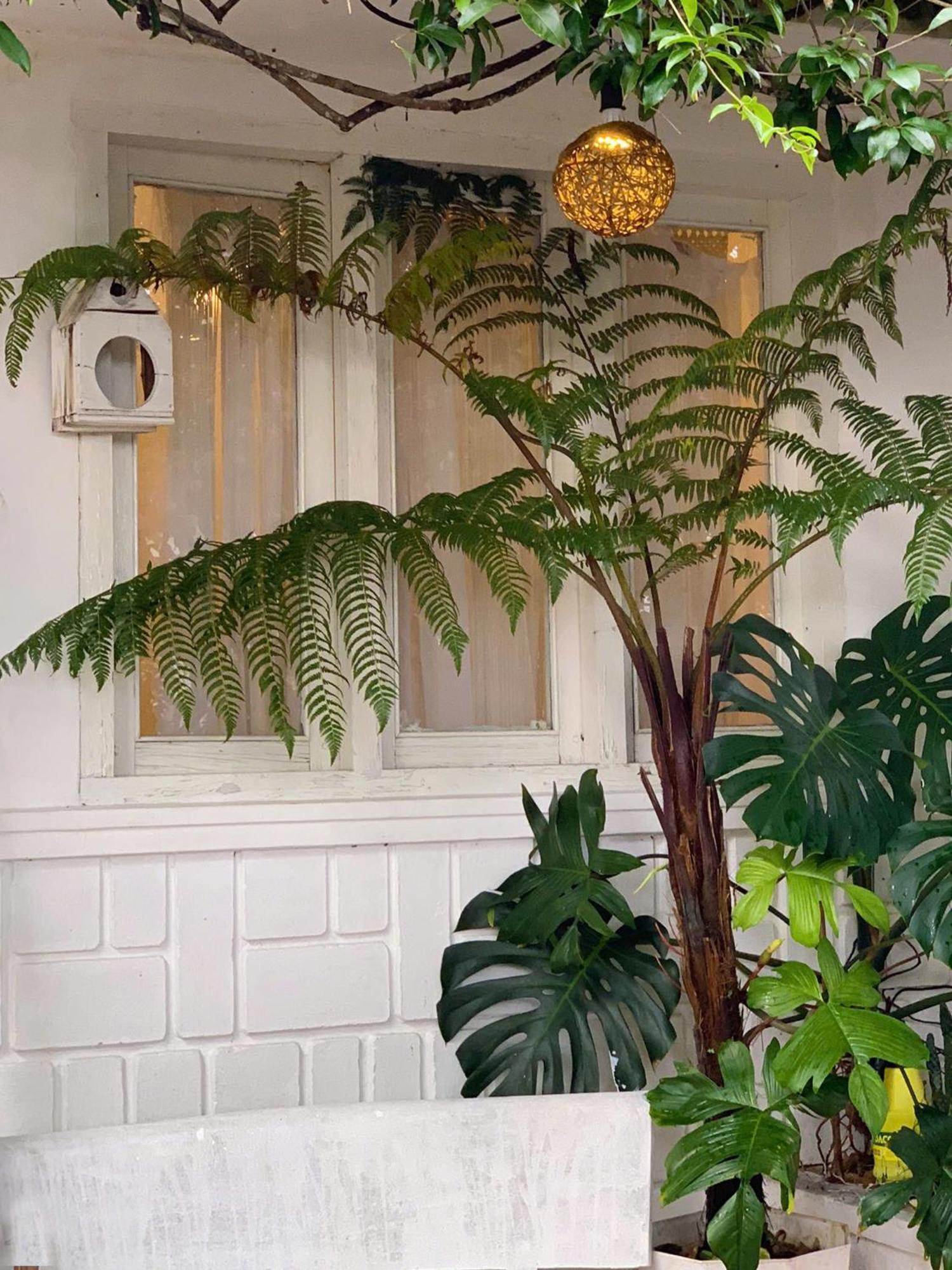Hat De Homestay 大叻 外观 照片