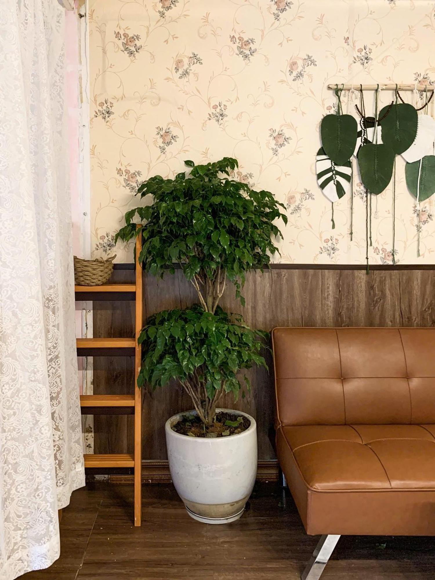 Hat De Homestay 大叻 外观 照片